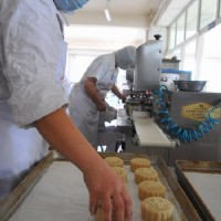 四川眉山好好食品有限公司